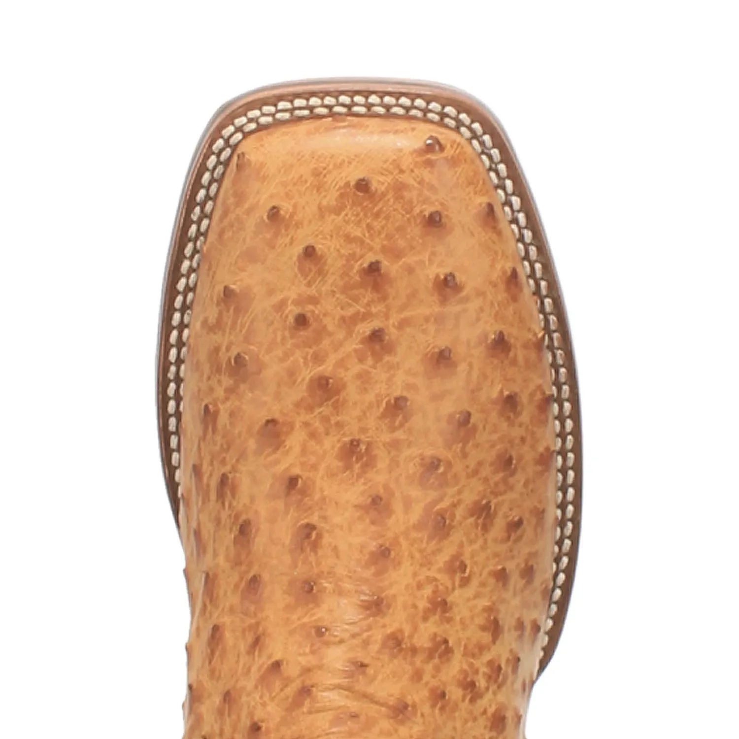 Dan Post DP4951 Men's 11" Kershaw Saddle Full Quill Ostrich Wide Square Toe