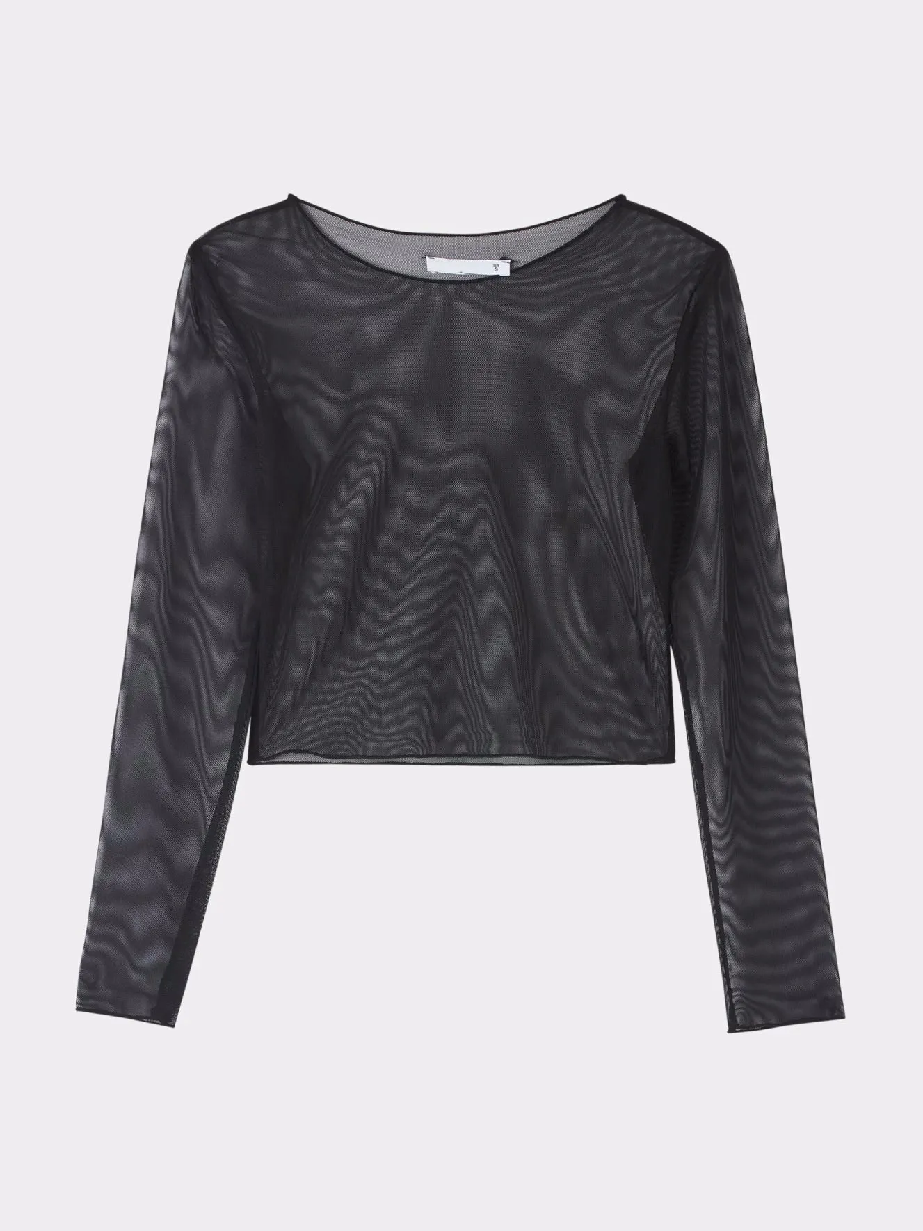 Dare to Bare: Mesh Crop Top