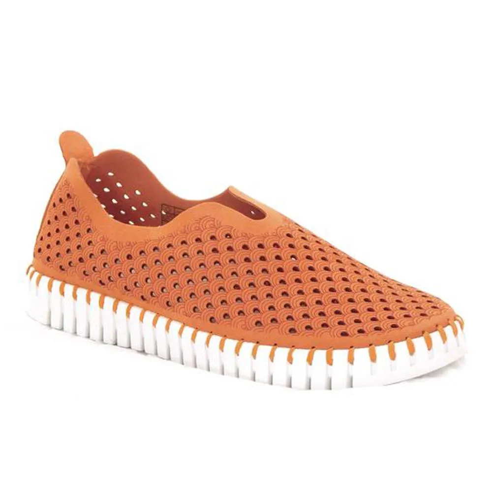 Tulip Shoe