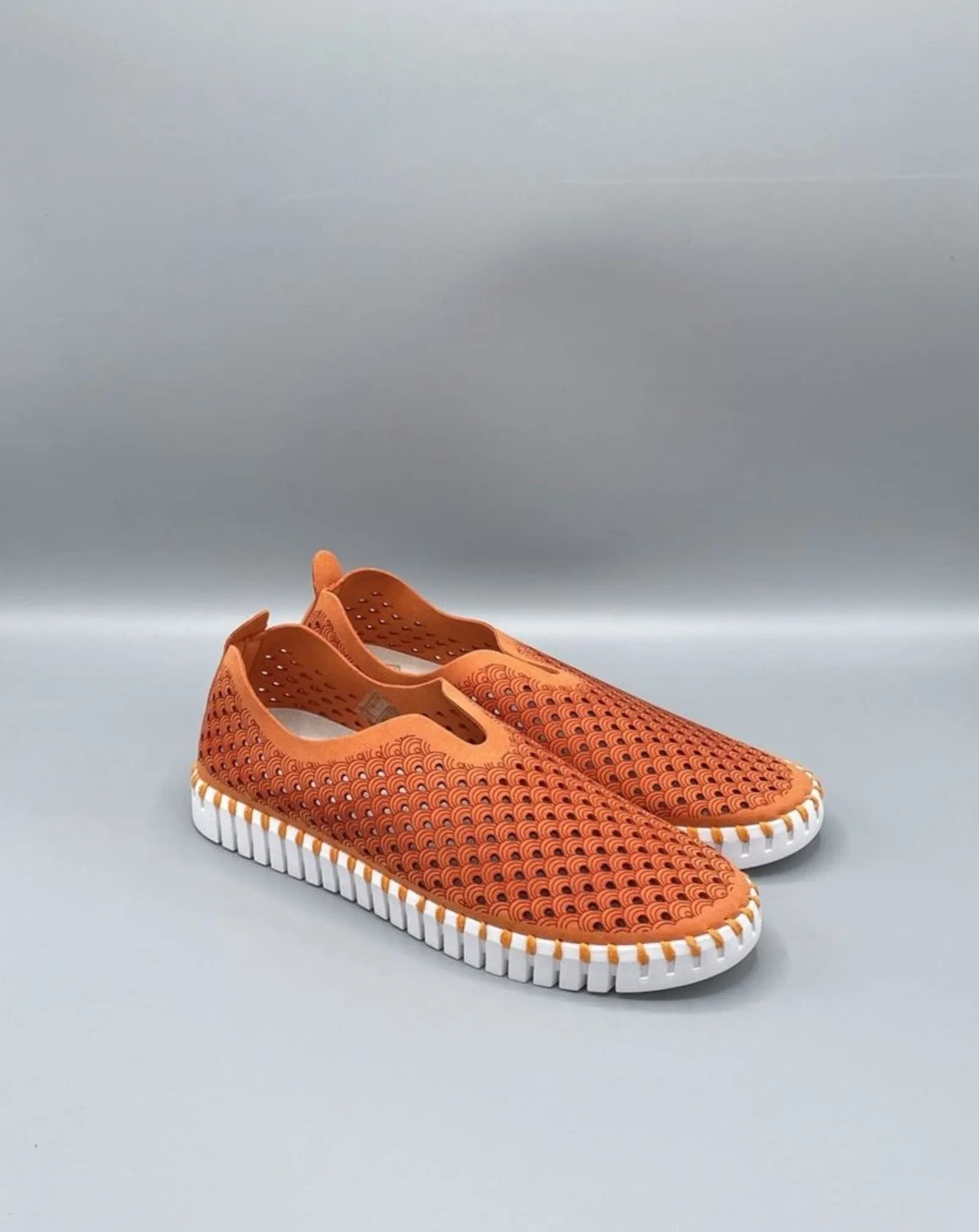 Tulip Shoe
